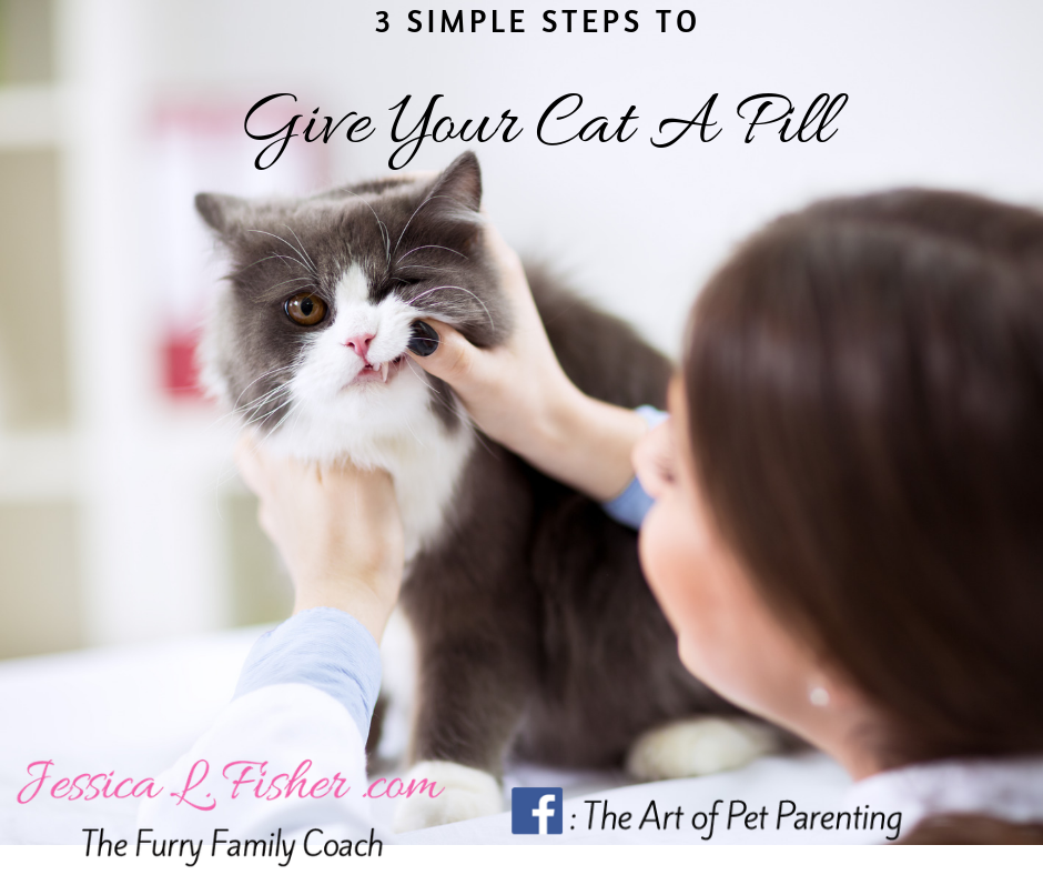 how to give my cat a tapeworm pill