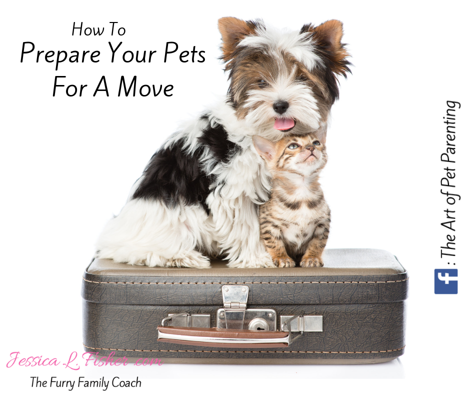 Preparing Your Pets For A Move
