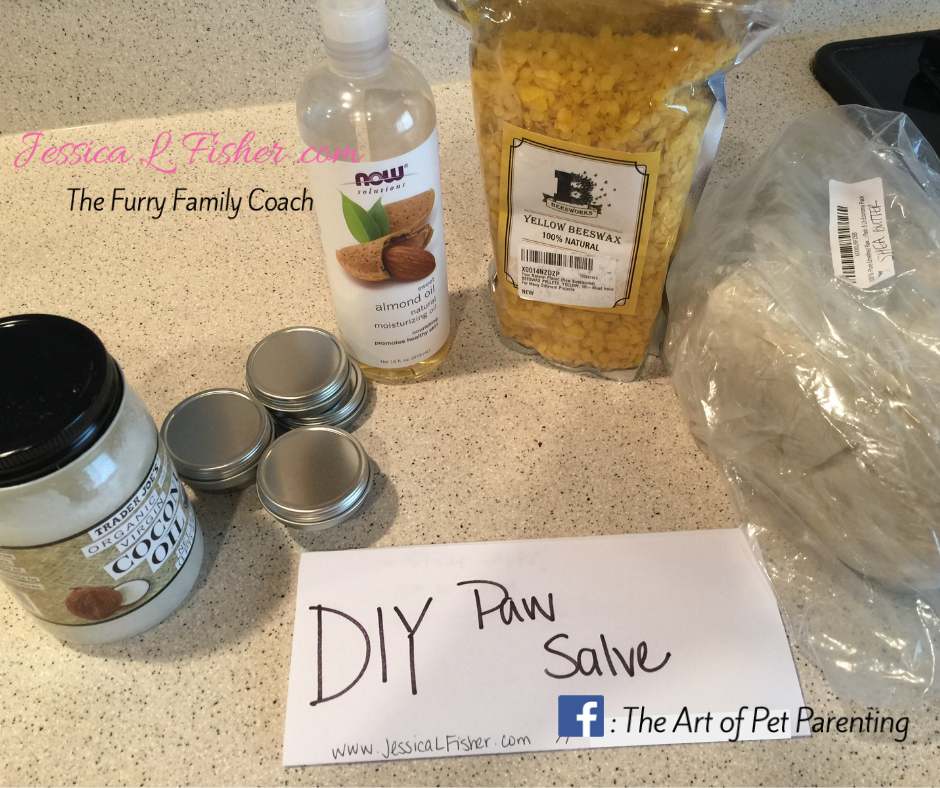 DIY Paw Salve for Dogs & Cats