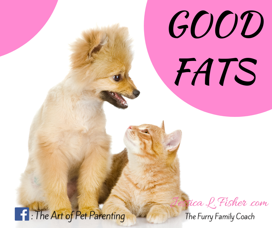 Fats That Are Good For Your Pet (& You)
