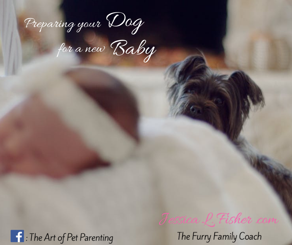 Preparing your dog for a new baby
