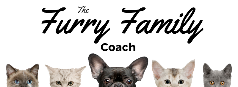 online dog training positive methods furry family coach