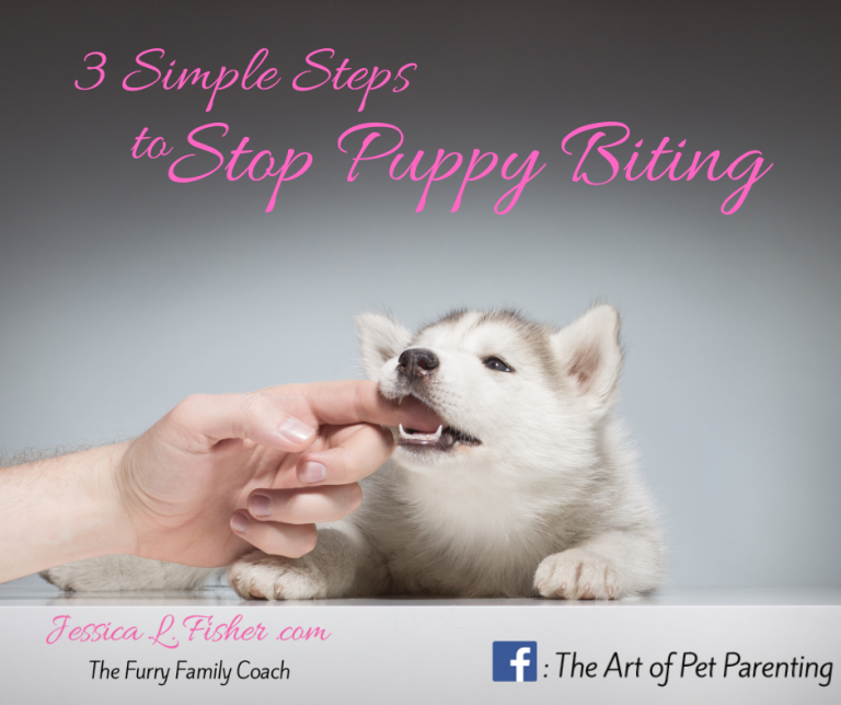 3 Simple Steps to Stop Puppy Biting