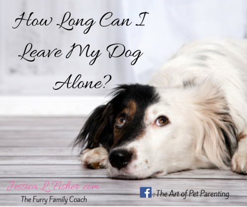 How Long Can I Leave My Dog Alone? Jessica L. Fisher