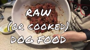 balanced raw dog food recipe
