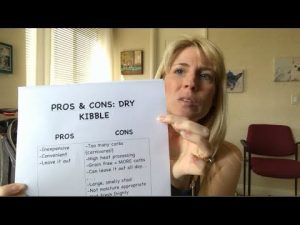 dry food kibble pros and cons