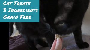 grain free cat treats 3 ingredients