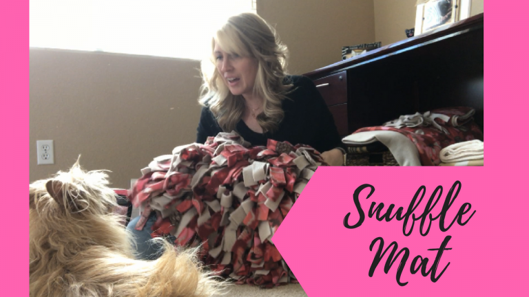 How To Make A Snuffle Mat For Your Dog Canine Enrichment