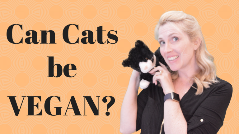 can cats be fed vegan diets
