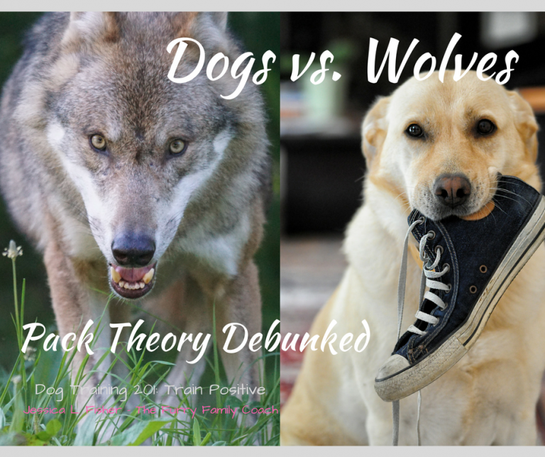 Dogs vs. Wolves