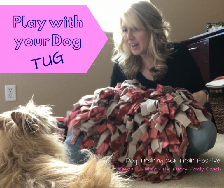 Play with your Dog Tug