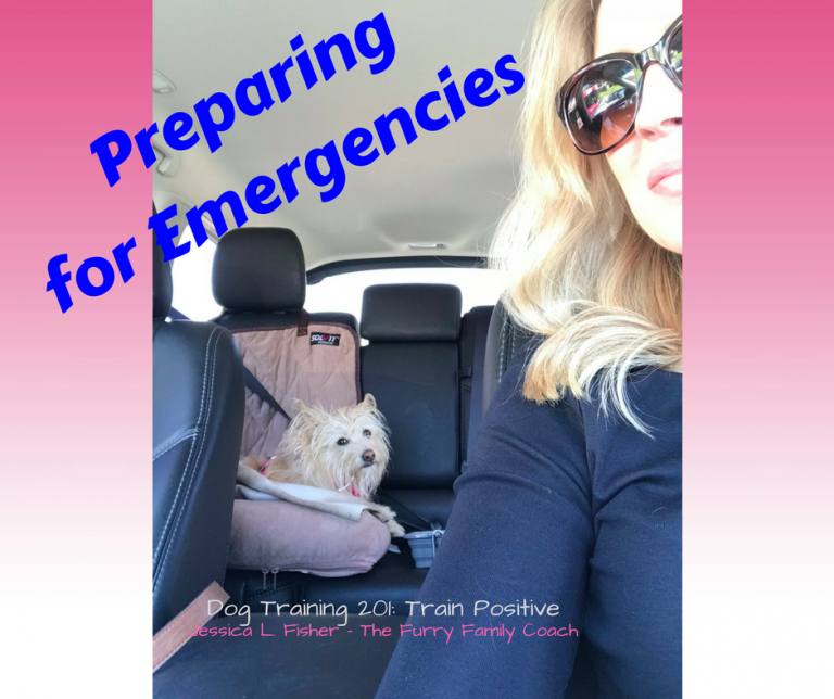 Preparingfor Emergencies