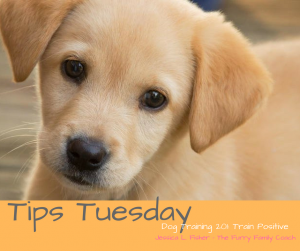 Tips Tuesday2