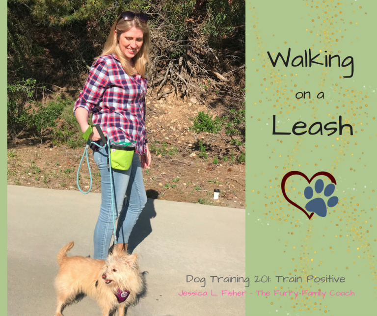 Walking on a leash