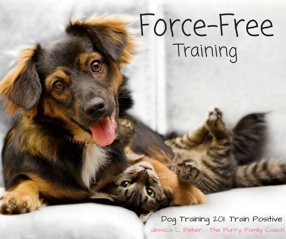 Force Free Dog Training