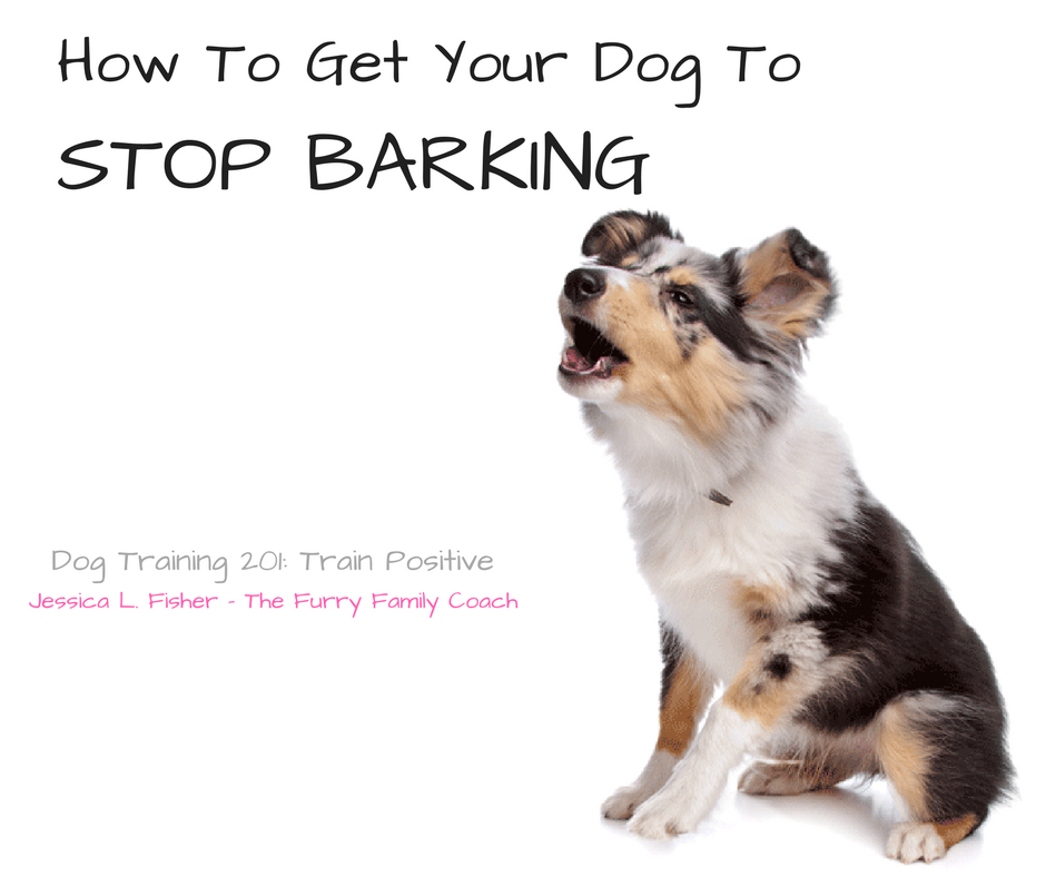 get your dog to stop barking