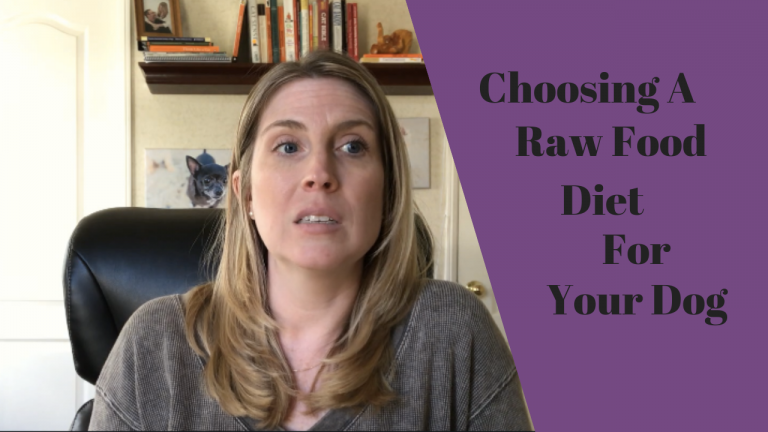 Choosing a Raw Dog Food