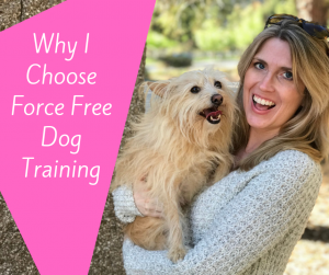 Why I Choose Force Free Dog Training