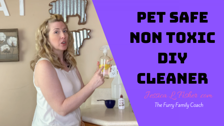 Pet Safe Non Toxic DIY Cleaner