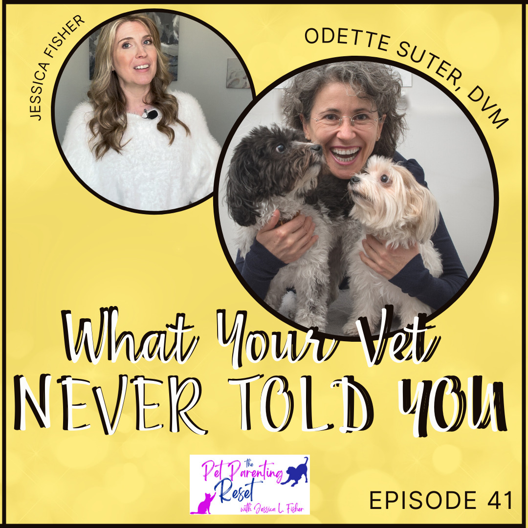 what your vet never told you