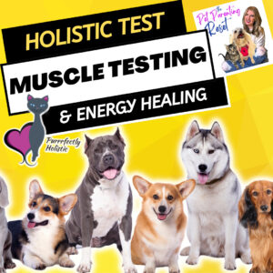 MUSCLE TESTING