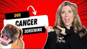 cancer screening 1