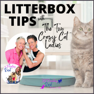 cat litterbox