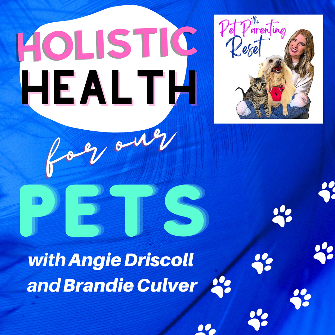 Holistic Healing with Angie Driscoll and Brandie Culver