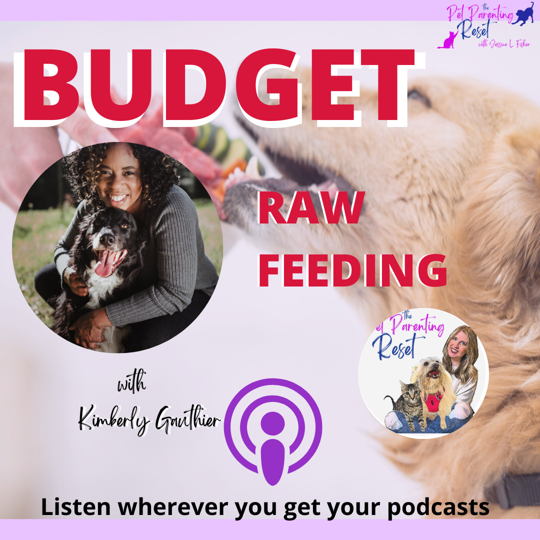 How To NOT Break The Bank When Feeding Your Dog with Kimberly Gauthier of Keep The Tail Wagging