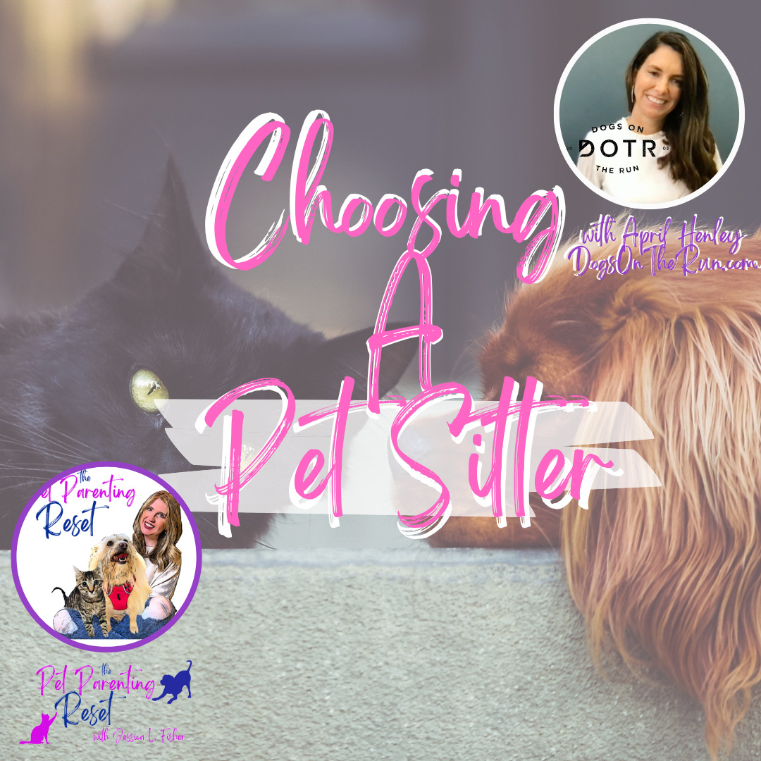 Choosing The Perfect Pet Sitter For Your Pets