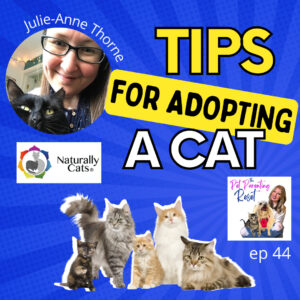 tips for adopting a cat Instagram Post