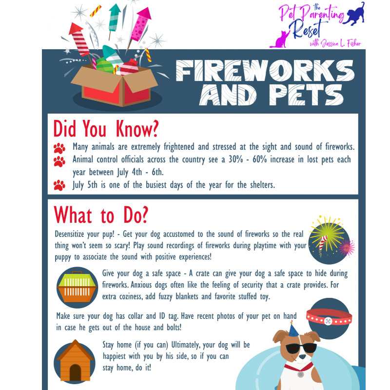 Fireworks & Noise Phobias