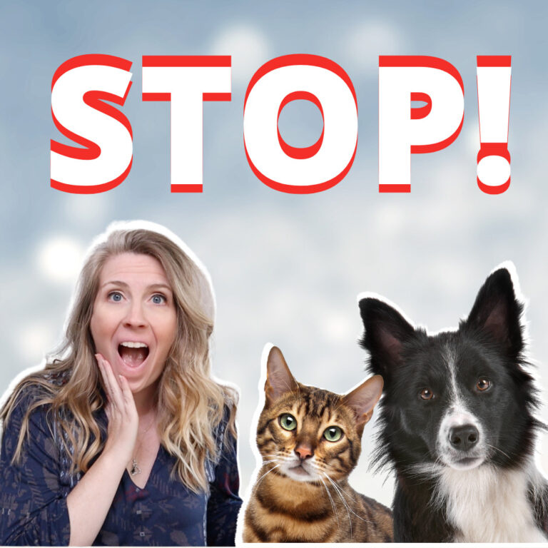 STOP! Using Flea & Tick Meds On Your Pet ... Here's Why