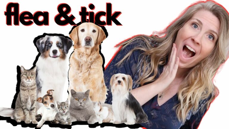 SAFEST Flea & Tick Treatments For Dogs & Cats