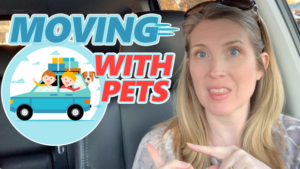 moving with pets part 2