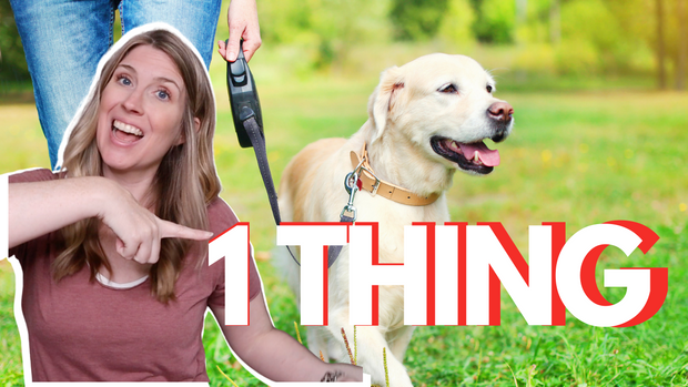 The 1 THING ruining your loose leash walking