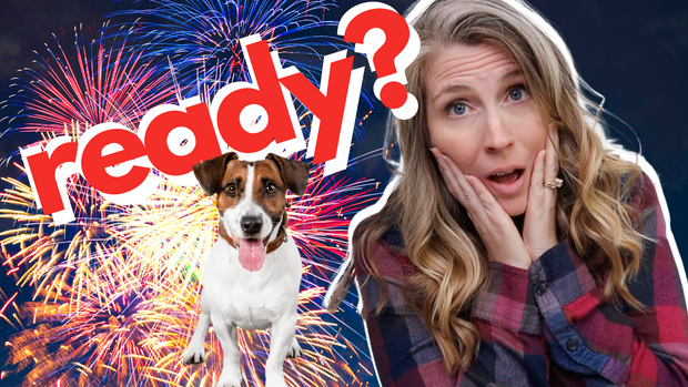 Is Your Dog Ready For The 4th Of July?