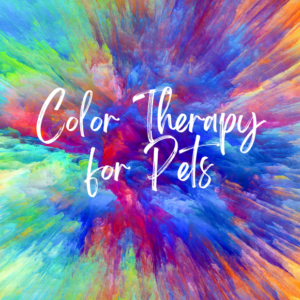 Color Therapy for Pets