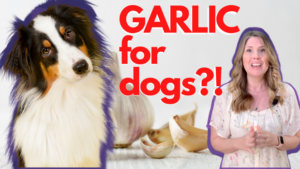 GARLIC for dogs