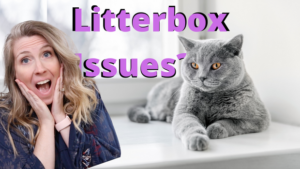 Litterbox Issues