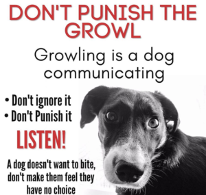 dont punish the growl