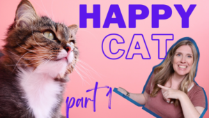 September is Happy Cat Month! (part 1)