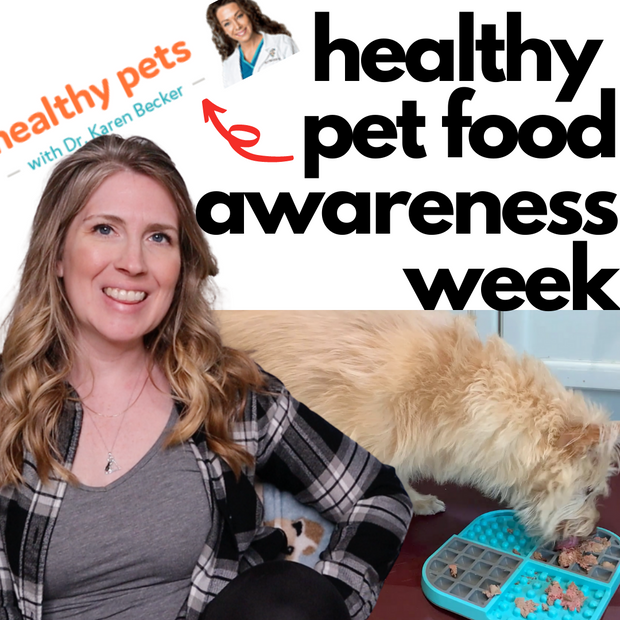 Healthy Pet Food Awareness Week (according to Dr. Becker!)