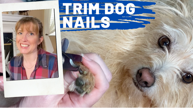 Trimming Kim's nails