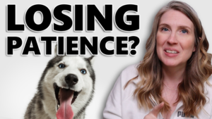 Losing Patience With Your Dog?