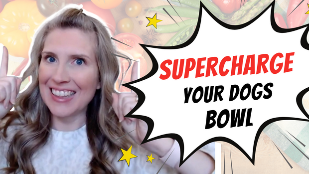 supercharge your dogs bowl