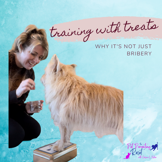 Training With Treats: Why It's Not Just Bribery