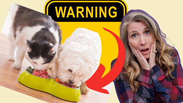 Warning: 3 Things To Know Before You Feed Commercial Pet Food