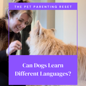 Can Dogs Learn Different Languages?