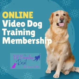 31012805 1669833114l5wOnline Canine Training  Behavior Consultation